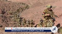 أستاذ فلسفة الفن المصري القديم: العقيدة العسكرية المصرية دفاعية وردعية