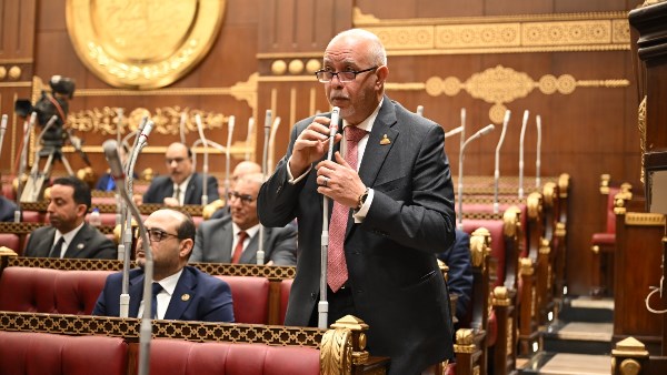 نائب: تحويل توصيات منتدى مصر الاقتصادية إلى إجراءات عملية ضرورة لدفع الاستثمار