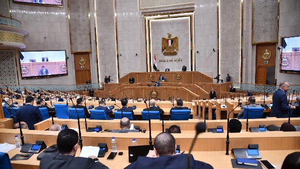 نائب: الأمن الغذائي قضية أمن قومي.. ويدعو لإطلاق برنامج وطني للزراعة الذكية