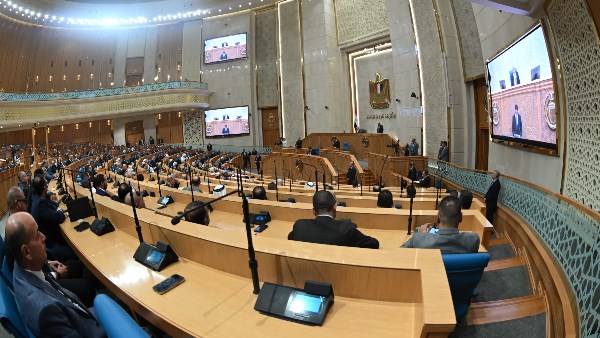 نائب: إطلاق استراتيجية جديدة للاستثمار الأجنبي يعزز تنافسية الاقتصاد المصري