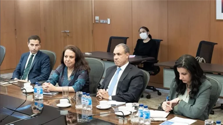 وزير الخارجية يبحث مع رئيس بنك التصدير والاستيراد التايلاندي دعم الاستثمارات والتوسع في إفريقيا