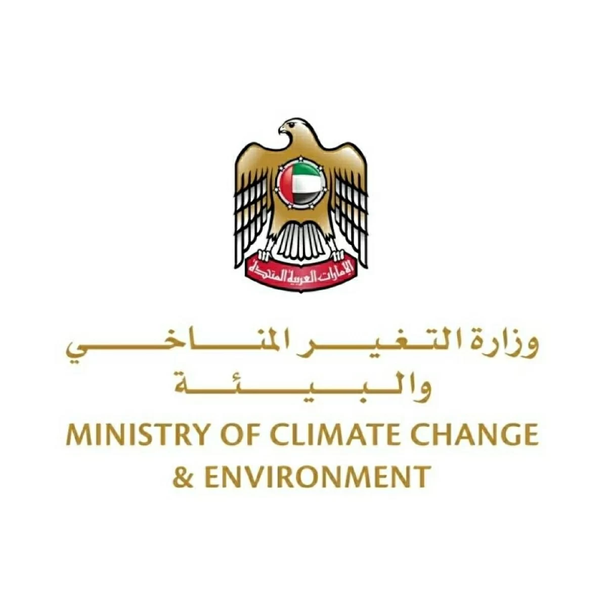 الروائح على الشواطئ لا تشكل مخاطر صحية
