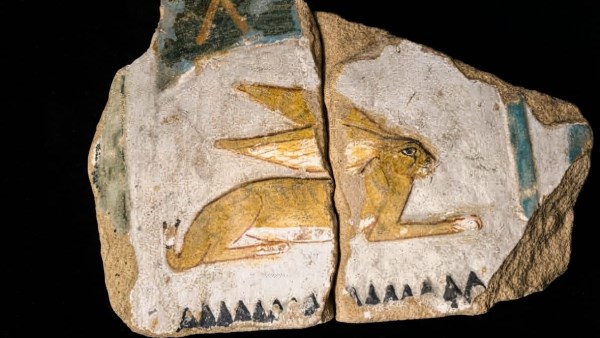 معارض بمتاحف ملوي والأقصر والسويس تسلط الضوء على التراث المصري