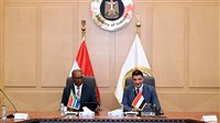 وزير الصناعة ونظيره الجنوب إفريقي يبحثان تعزيز التكامل الصناعي والتعاون في قطاع السيارات