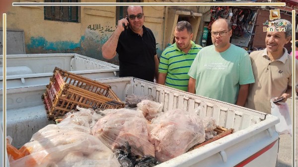 التحفظ على 500 كيلو لحوم مجمدة غير صالحة ببني سويف