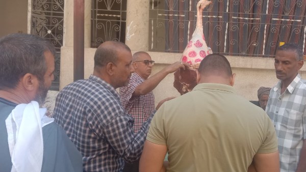 محافظ أسيوط: تحرير 35 محضرًا خلال حملة رقابية موسعة بقرية البربا لضبط الأسواق وحماية المواطنين
