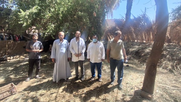 محافظ سوهاج يوجه بالتعامل الفوري مع واقعة عقر 11 شخصاً بساقلته