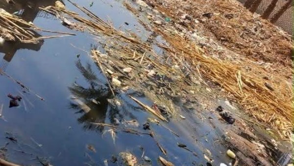 محافظ سوهاج يوجه بالتعامل الفوري مع طفح الصرف الصحي بقرية “الأغانة” بطما.. ويشدد على محاسبة المخالفين