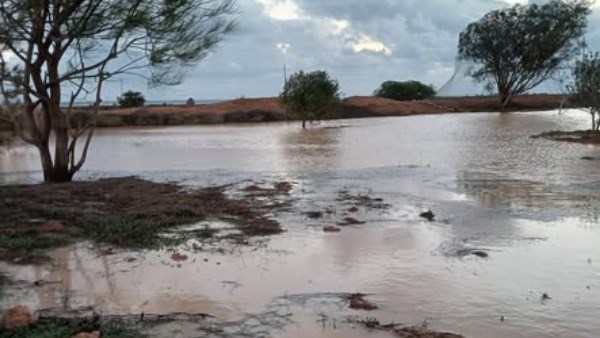 بسبب الأمطار الغزيرة.. السيول تملأ الأودية بالمياه في براني والسلوم والنجيلة والضبعة