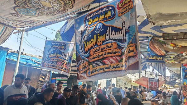 محافظ الإسماعيلية يتابع مبادرة بيع الأسماك بأسعار مخفضة بسوق الجمعة