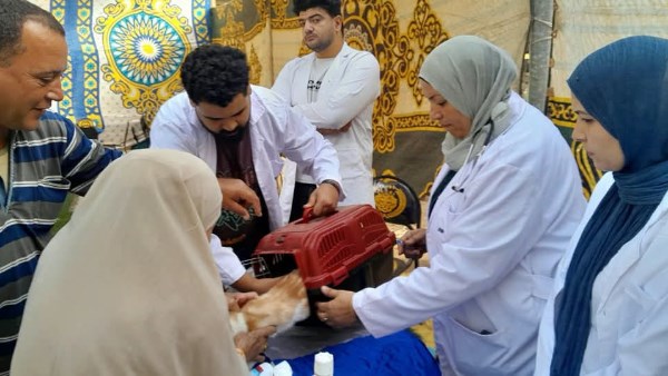 قافلة بيطرية علاجية مجانية بقرية سيف الدين.. والكشف على 2131 حالة