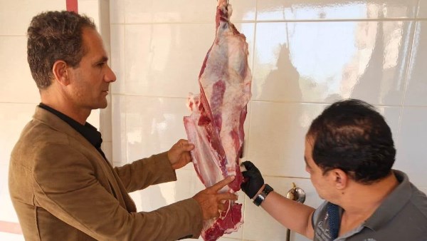 محافظ الغربية: ضبط 2.8 طن أغذية غير صالحة للاستهلاك الآدمي وتحرير 20 محضرا خلال حملات الطب البيطري استعدادا لمولد السيد البدوي