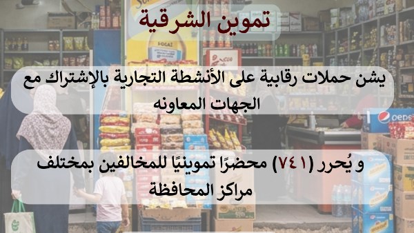 تموين الشرقية: تحرير 741 محضرًا للمخالفين خلال حملات رقابية