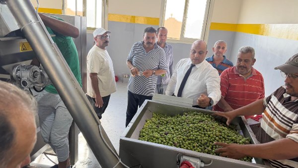 زيتون سيناء يدخل مرحلة جديدة.. وزير الزراعة يطلق تشغيل معصرة النثيلة لدعم المزارعين