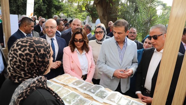 من الزراعة إلى التصدير.. خطة حكومية لتعظيم عوائد النباتات الطبية والعطرية ودعم صغار المزارعين