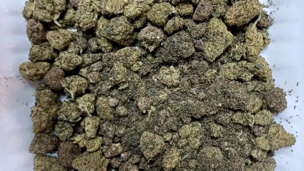 جمارك مطار الغردقة الدولي تحبط محاولة تهريب كمية من مخدر الماريجوانا .. صور
