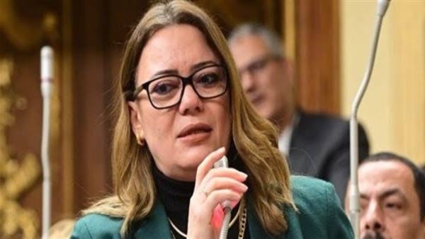 المجلس القومي للمرأة يهنئ النائبات رئيسات ووكيلات اللجان النوعية بمجلس النواب