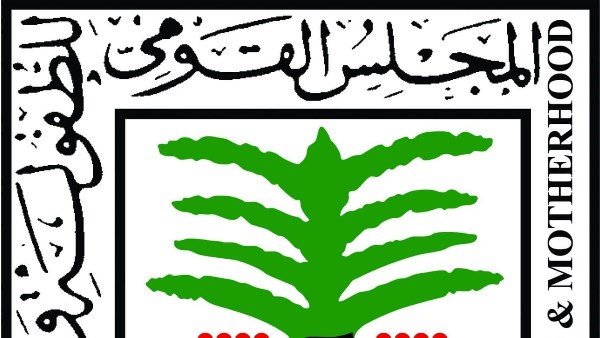 القومي للأمومة يتدخل لحماية طفلين عُثر عليهما في المريوطية بالهرم