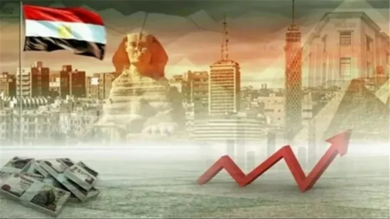 وزارة المالية:الاقتصاد المصري بات أكثر قدرة على النمو رغم الصدمات.. ونعمل الفترة المقبلة على رفع الإنتاجية