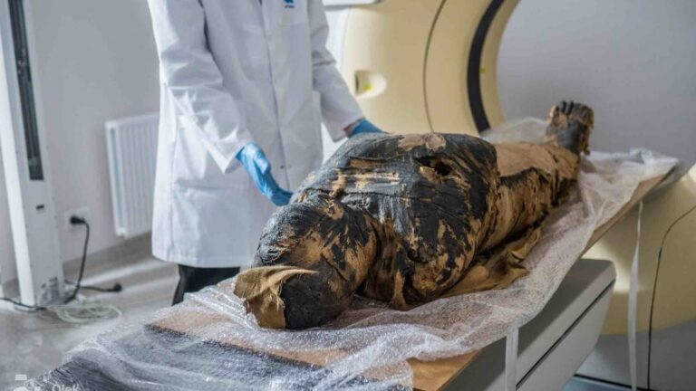 سر طبي غامض يعود من مقابر الفراعنة لمواجهة الإنفلونزا.. ما القصة؟