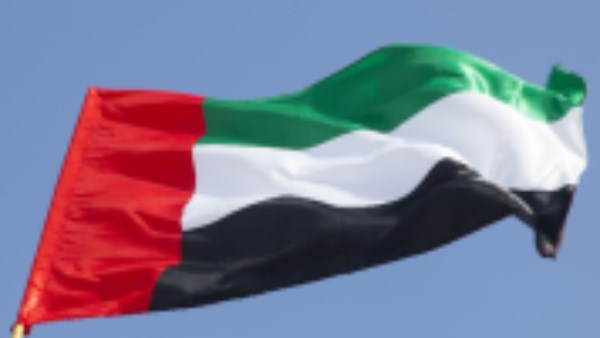 الإمارات تشكر السعودية وتثمّن تعاونها في واقعة فلاي دبي
