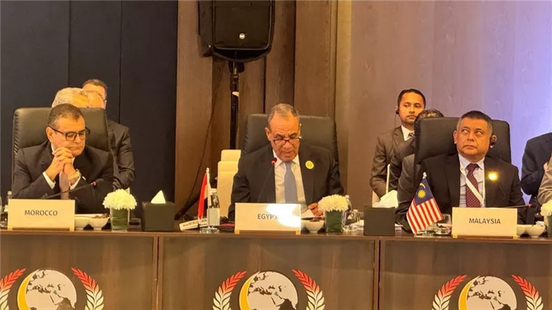 وزير الخارجية يلقي كلمة مصر في اجتماعات الدورة الـ٥٢ لمجلس وزراء خارجية منظمة التعاون الإسلامي