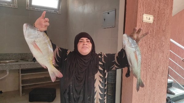 إقبال على أول حلقة سمك بجنوب سيناء.. «الباغة» تخطف الأنظار بالطور.. والأسعار تبدأ من 35 جنيهًا