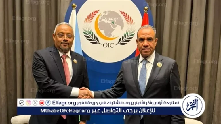 وزير الخارجية يلتقي نظيره الجيبوتي ويبحثان سبل تعزيز العلاقات الثنائية والتطورات الإقليمية