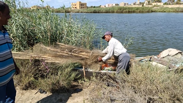 منال عوض: تكثيف الرقابة الميدانية لحماية الطيور المهاجرة وصون التنوع البيولوجي والتصدي لمخالفات الصيد