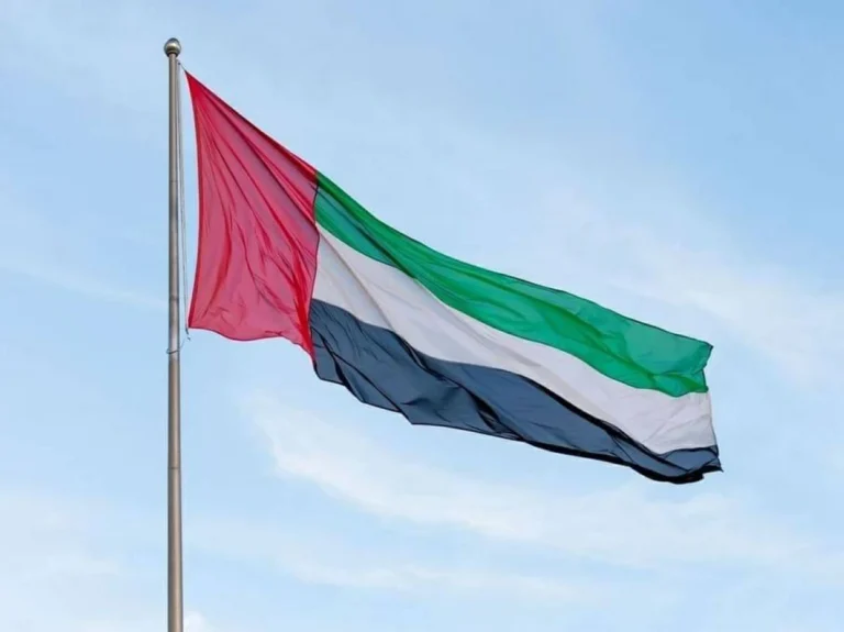 حكام الإمارات يعزون خادم الحرمين في استشهاد ضابطين إثر تحطم طائرة استطلاعية