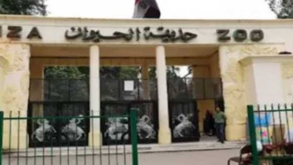مفاجآت في التطوير الشامل.. متى تفتح حديقة الحيوان أبوابها للزوار؟