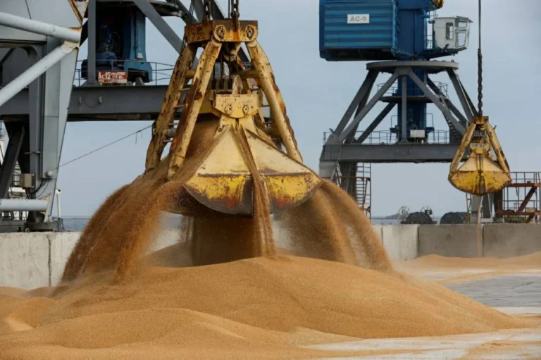 روسيا تضاعف طاقة تصدير الحبوب من موانئ بحر البلطيق 170%
