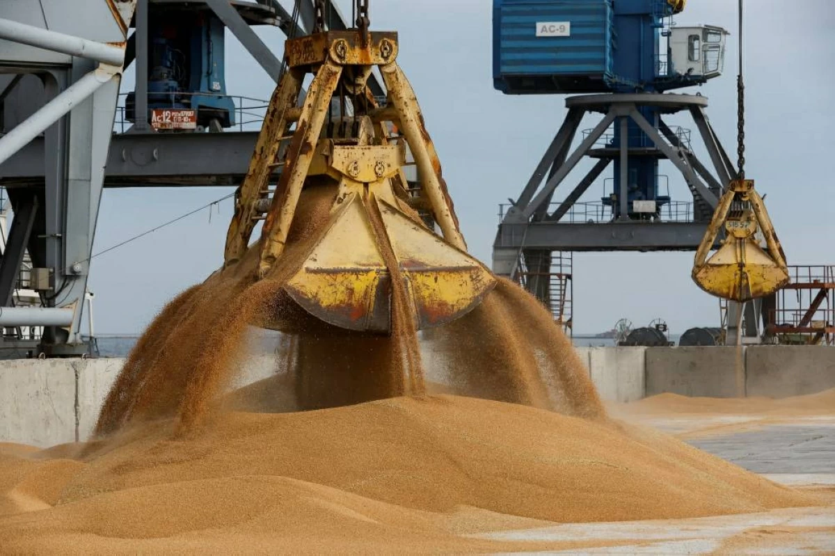 روسيا تضاعف طاقة تصدير الحبوب من موانئ بحر البلطيق 170%