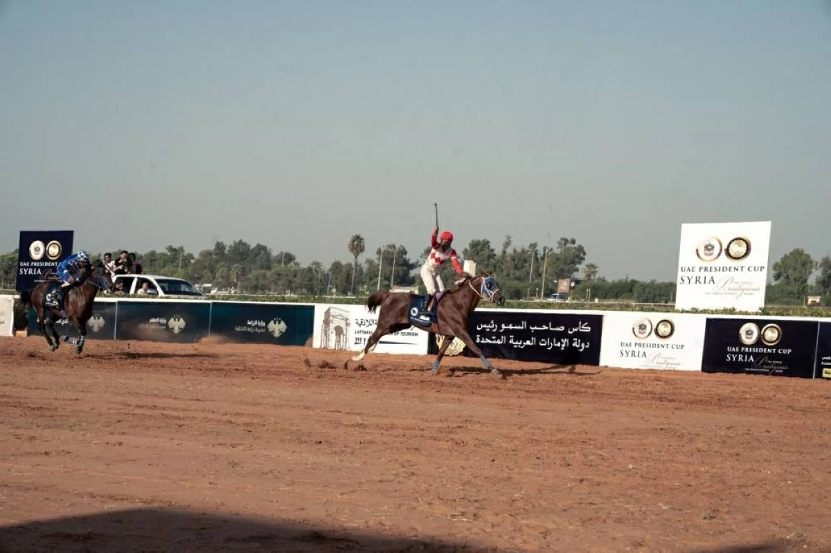 «حبيب الكتب» بطل الخيول العربية