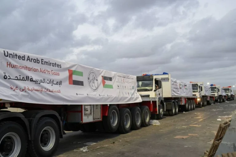 دخول قافلتي مساعدات إماراتية إلى غزة تحملان 259 طناً