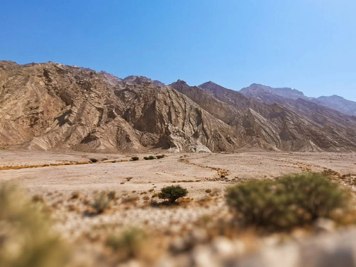 جامعة الإمارات تستضيف مؤتمر الجيوفيزياء
