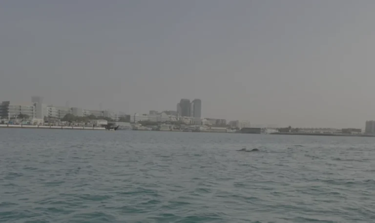 دراسة لـ«السوربون أبوظبي» عن الحمض النووي البيئي في النظم الساحلية
