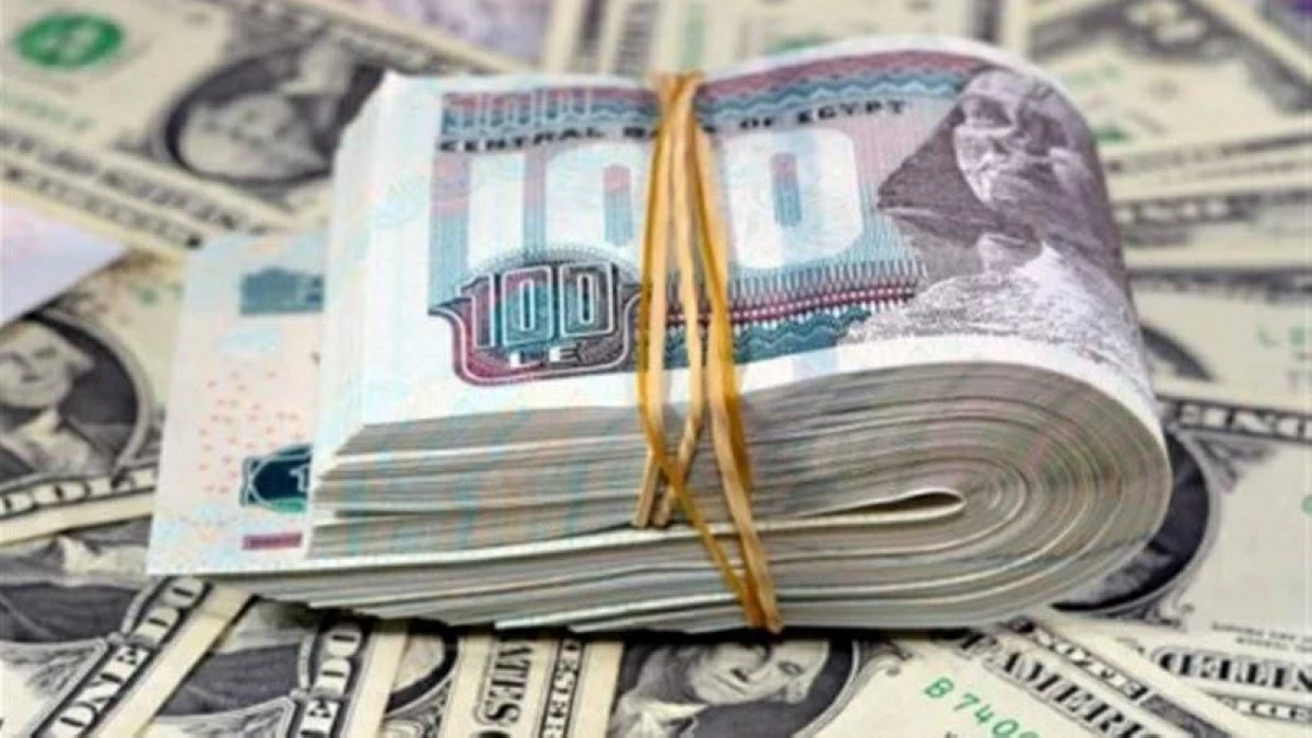 سعر الدولار اليوم الثلاثاء 13 أكتوبر 2026 في مصر.. آخر تحديث بعد هبوط الجنيه