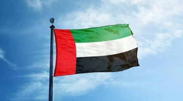 الإمارات تهيب بمواطنيها في أمريكا توخي الحذر إثر حريقين في كاليفورنيا