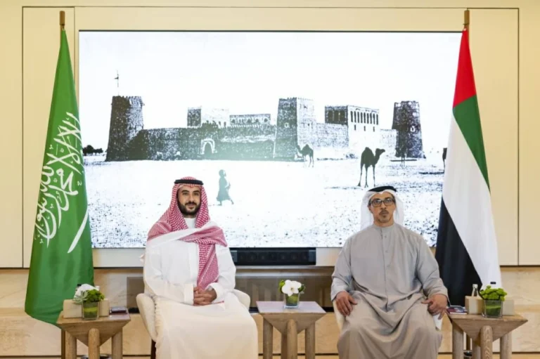 منصور بن زايد وخالد بن سلمان يبحثان تعزيز التعاون والتنسيق بين الإمارات والسعودية (فيديو)
