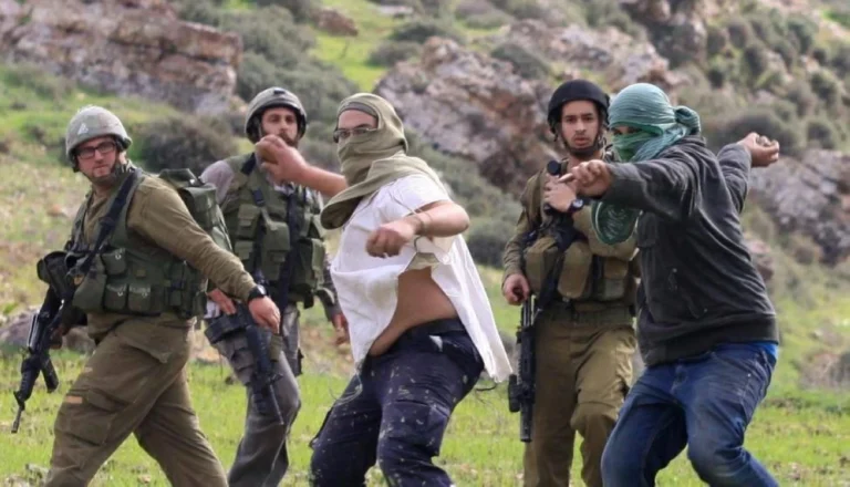خبراء أمميون يطالبون إسرائيل بحماية المزارعين الفلسطينيين