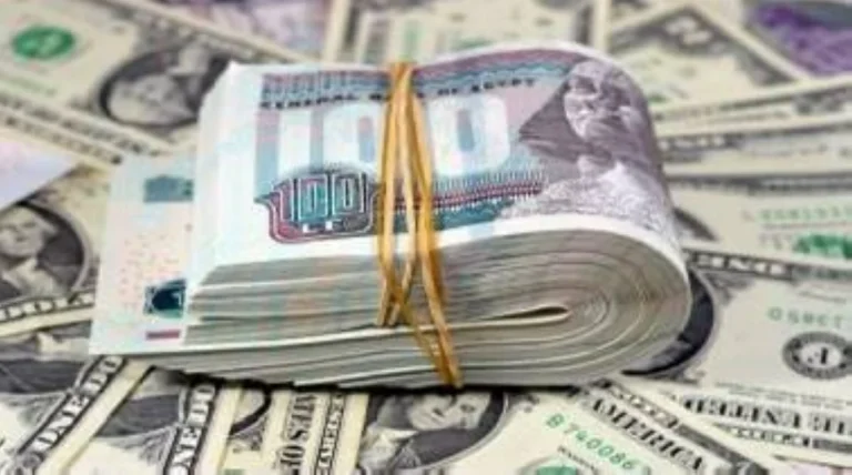 سعر الدولار اليوم 21 أكتوبر 2026 في مصر..تحركات جديدة بالبنوك