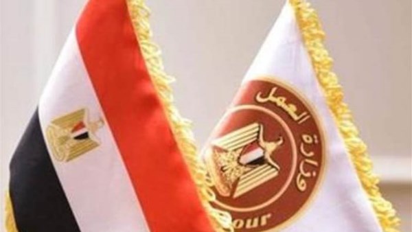 وظائف وزارة العمل برواتب تصل لـ 20 ألف جنيه.. الشروط وطريقة التقديم