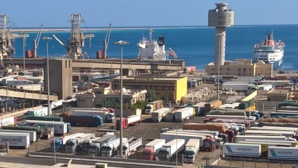 هيئة موانئ البحر الأحمر: تداول 15 ألف طن بضائع عامة ومتنوعة ووصول 1120 رأس عجول حية لميناء سفاجا