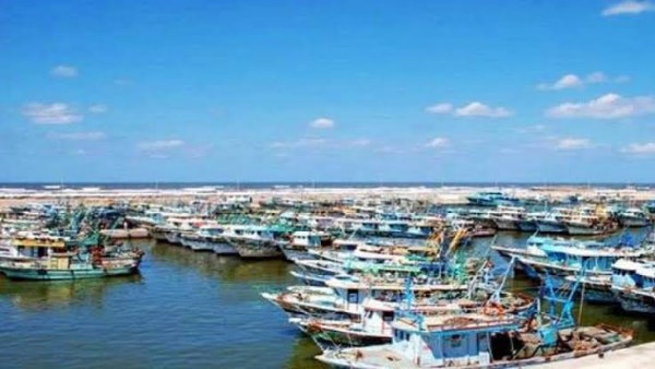 فتح ميناء الصيد البحري ببرج البرلس والتنبيه على المراكب بعدم الدخول بعمق البحر نظرا للتقلبات الجوية المتوقعة