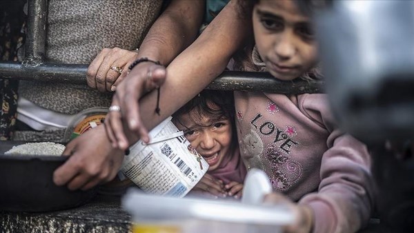 100 منظمة دولية تحذر من كارثية ما يحدث في غزة