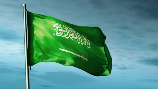 اللواء عادل العمدة: مجلس الدفاع الوطني يحدد أطر التحرك المصري لدعم السعودية