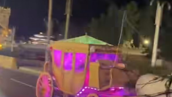 حصان يهرب خلال زفاف عروسين والمعازيم يحاولون السيطرة عليه.. فيديو