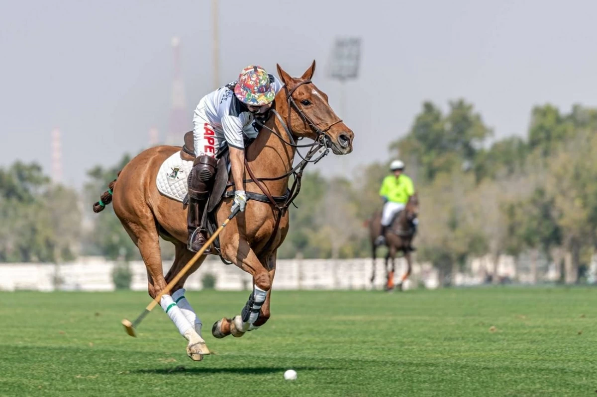 غنتوت ينظم مهرجان «البولو الوردي» 31 أكتوبر