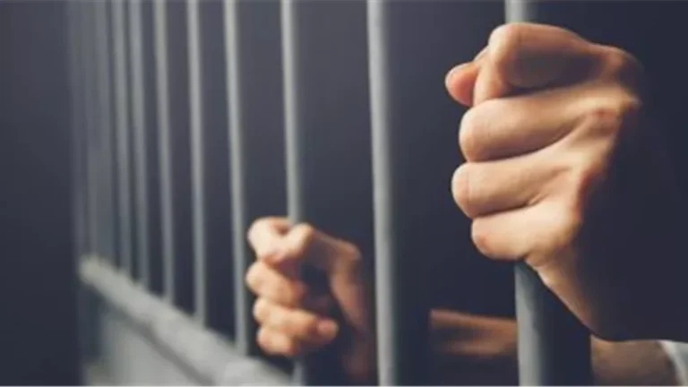 السجن المشدد 15 سنة لسائق بتهمة قتل زوج طليقته في شبين القناطر بالقليوبية